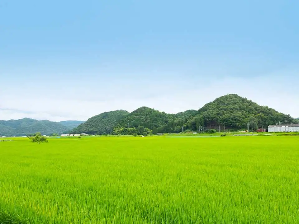 京丹波の自然